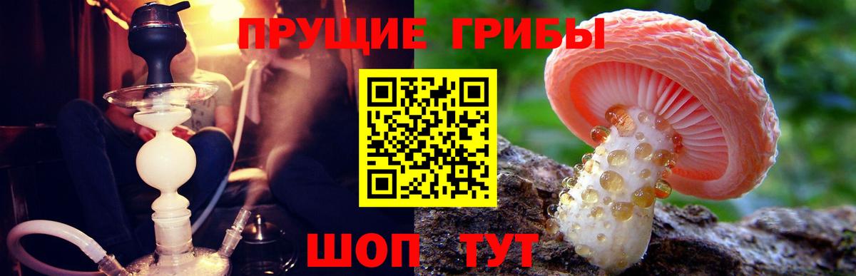 Лесосибирск  Галлюциногенные грибы ЛСД  Вход с VPN 